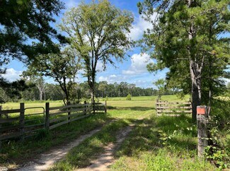 Plantersville, TX Commercial - 18288 FM 1774