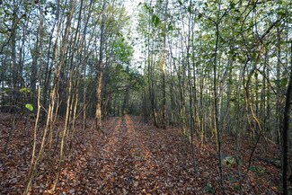 Phoenicia, NY Residential Land - TBD NY-28