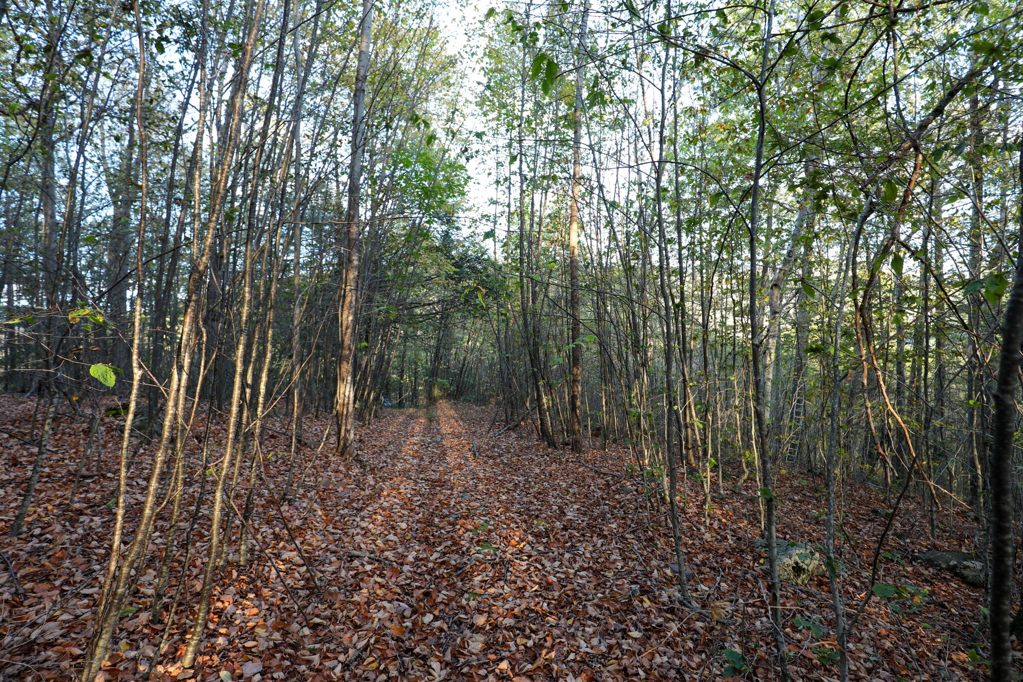 TBD NY-28, Phoenicia, NY for Sale