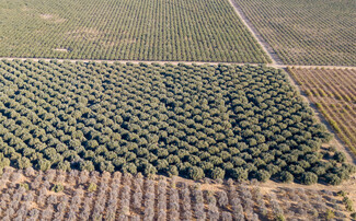 Terra Bella, CA Agricultural - Avenue 74