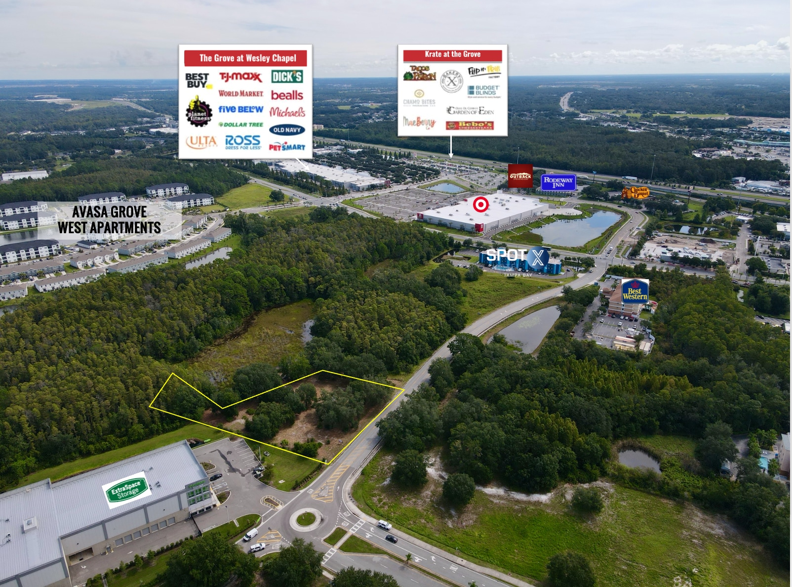 27561 Dayflower Boulevard, Wesley Chapel, FL for Sale