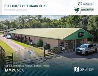 605 E Bloomingdale Ave