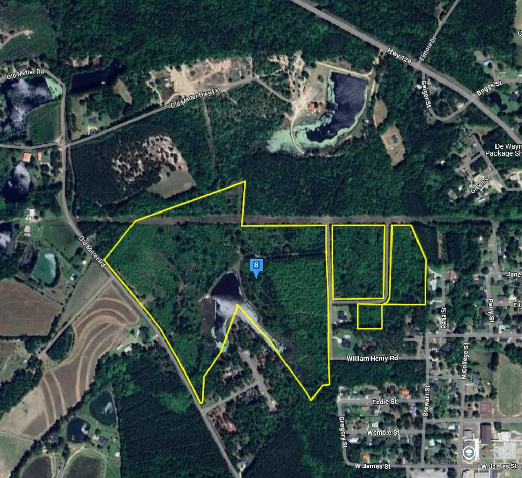 2927 Old Claxton- Metter Hwy, Claxton, GA for Sale