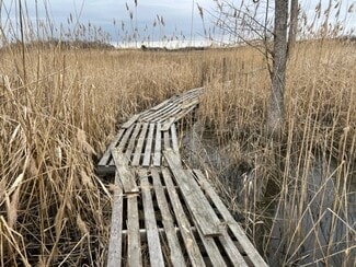 Milford, DE Agricultural - 4298 McColley Rd