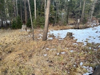 June Lake, CA Residential - 799 Minaret Rd