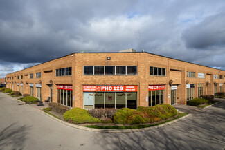 Vaughan, ON Light Manufacturing - 207 Edgeley Blvd