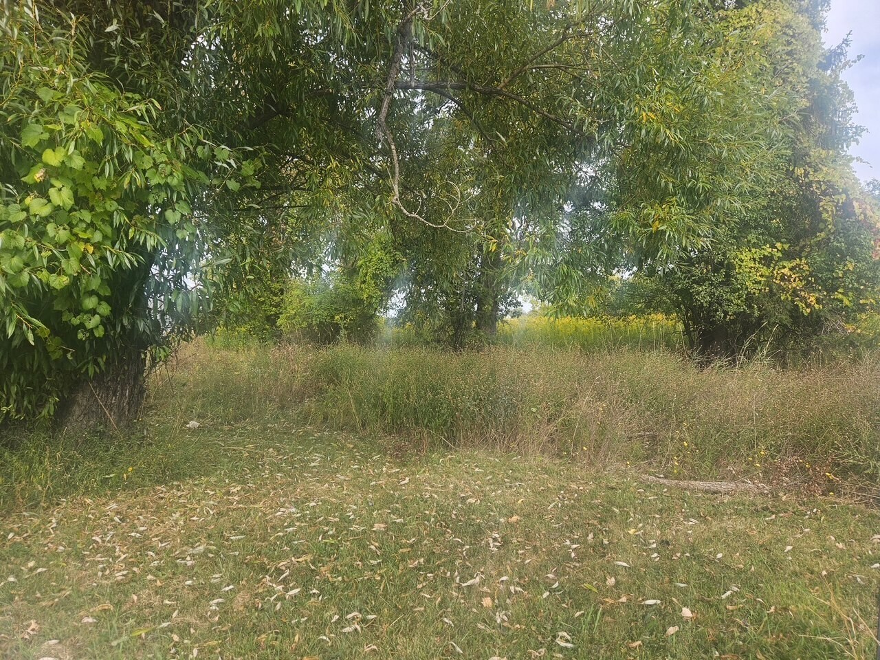 2411 State Route 332, Canandaigua, NY for Sale