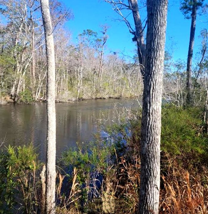 Highway 20 @ South Jackson Street, Freeport, FL for Sale