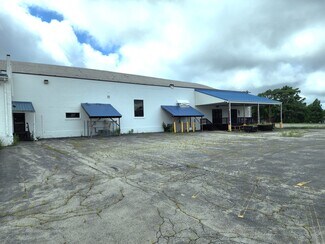 Albion, NY Industrial - 225-227 East Ave