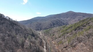 Rocky Top, TN Specialty - 349 Willow Ln