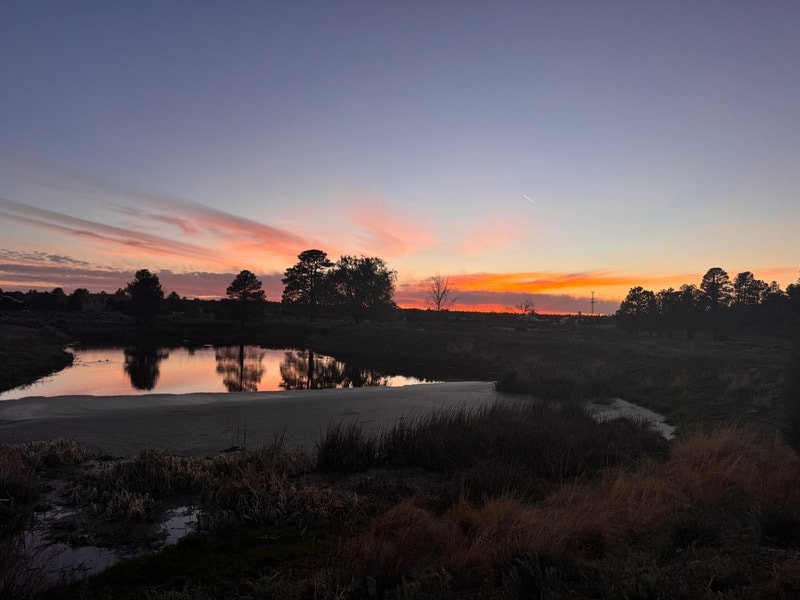 2216 Mogollon Rim Dr, Overgaard, AZ for Sale