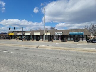 Park Ridge, IL Retail - 800-812 Higgins Rd Park Ridge, IL Retail - 800-812 Higgins Rd
