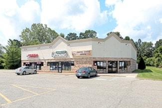 Orion Township, MI Retail - 1472-1488 S Lapeer Rd