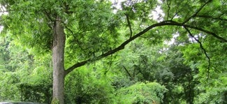 Durham, NC Commercial Land - 117 Hunt St Durham, NC Commercial Land - 117 Hunt St