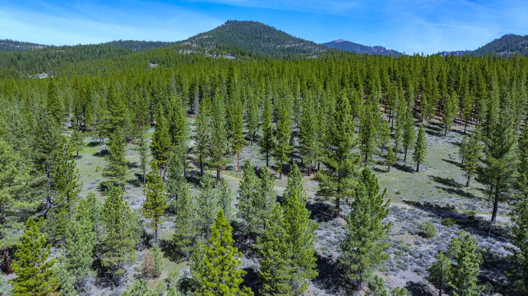 73077 Highway 70, Portola, CA for Sale