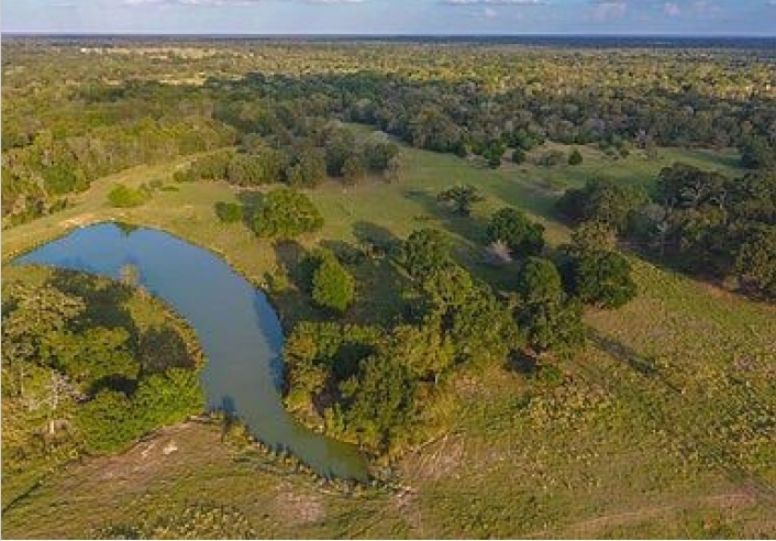 6125 Crane Ln, North Zulch, TX for Sale