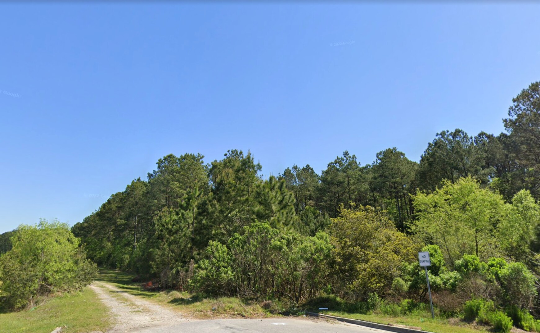 Pine Barren Rd, Pooler, GA for Sale