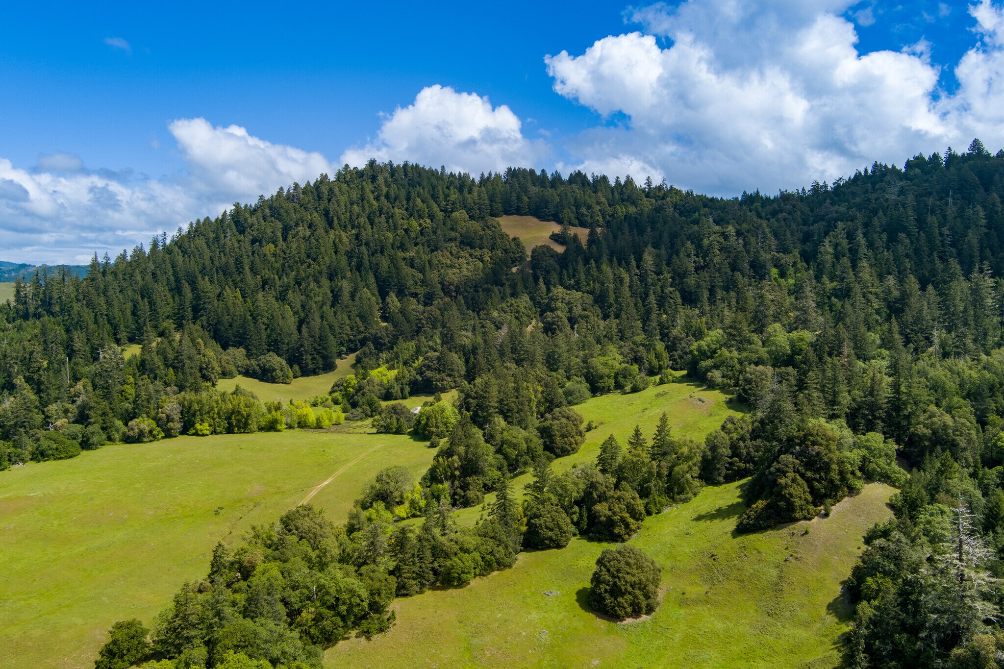 00 Reed Mountain Ranch Road, Garberville, CA for Sale