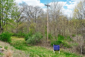 Swanton, OH Commercial Land - 10580 & 10650 Airport Hwy