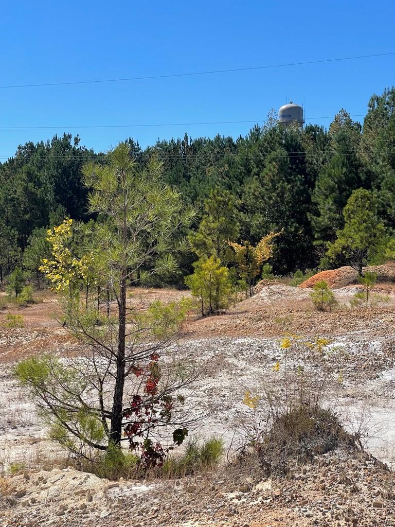 0000 Veterans Drive & 22 North, Huntingdon, TN for Sale