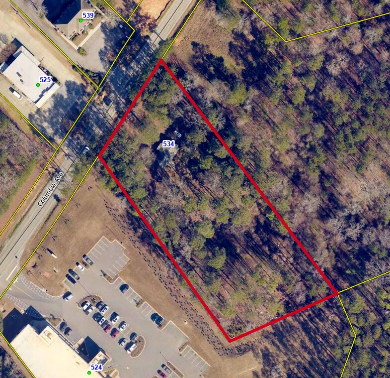 534 Columbia Ave, Chapin, SC for Sale