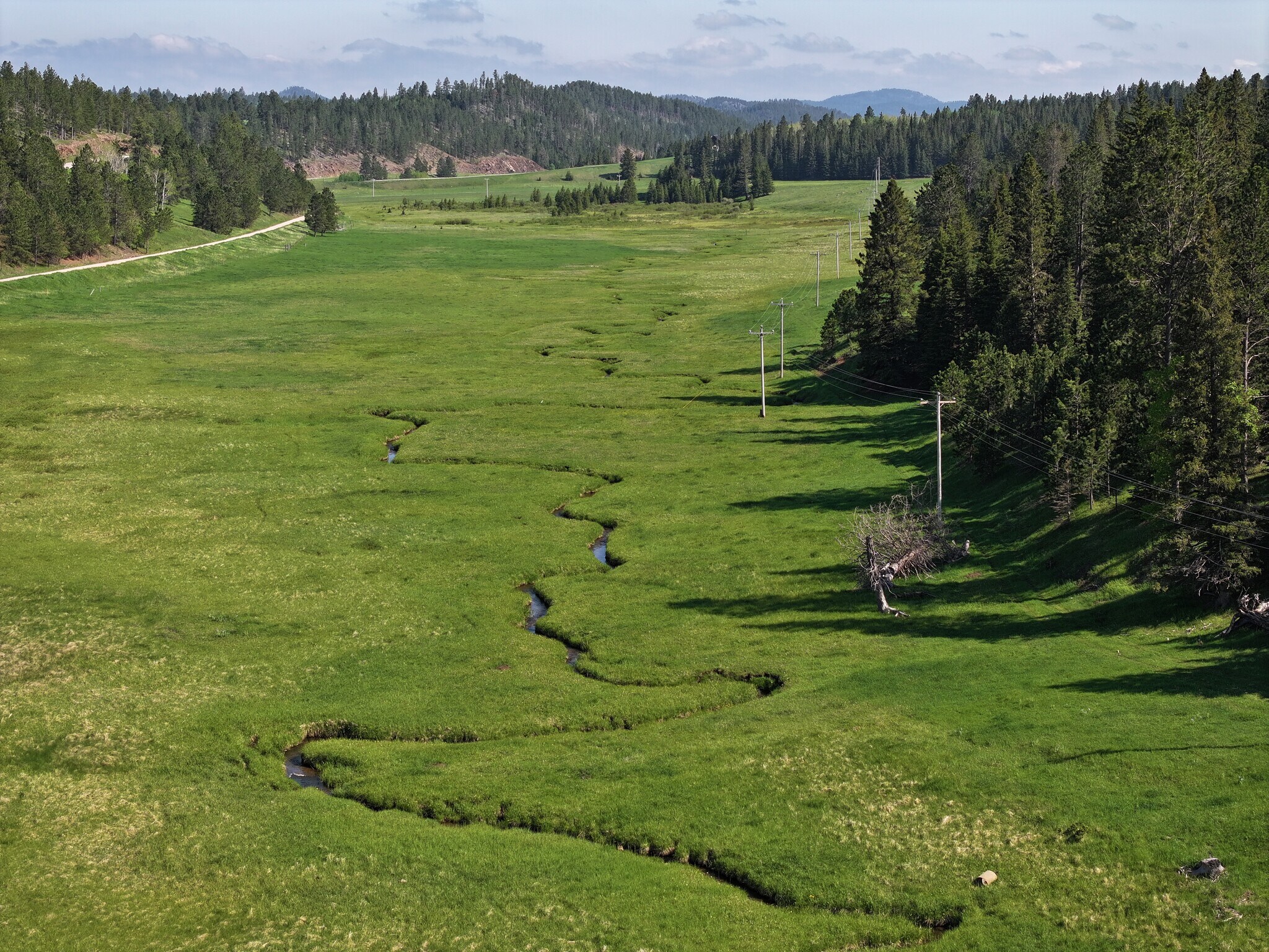 22037 Rochford Road, Lead, SD for Sale