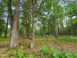Lot 15 Townline  
