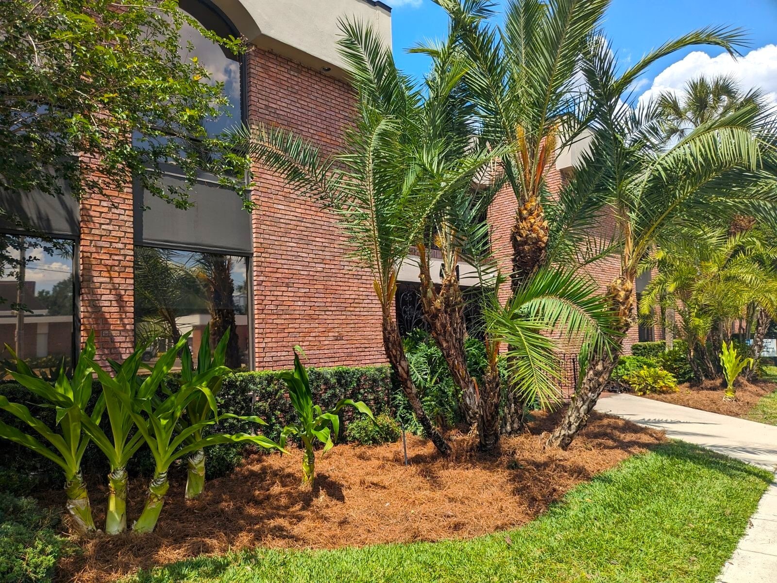 401 W Colonial Dr, Orlando, FL for Rent