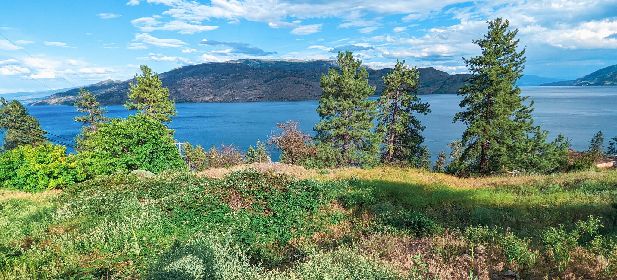 6137 Lipsett Av, Peachland, BC for Sale