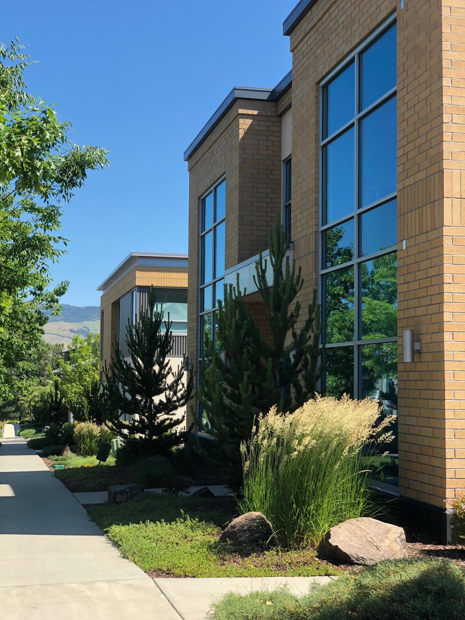 700 Mistletoe Rd, Ashland, OR for Rent