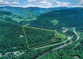 Phoenicia, NY Residential Land - TBD NY-28