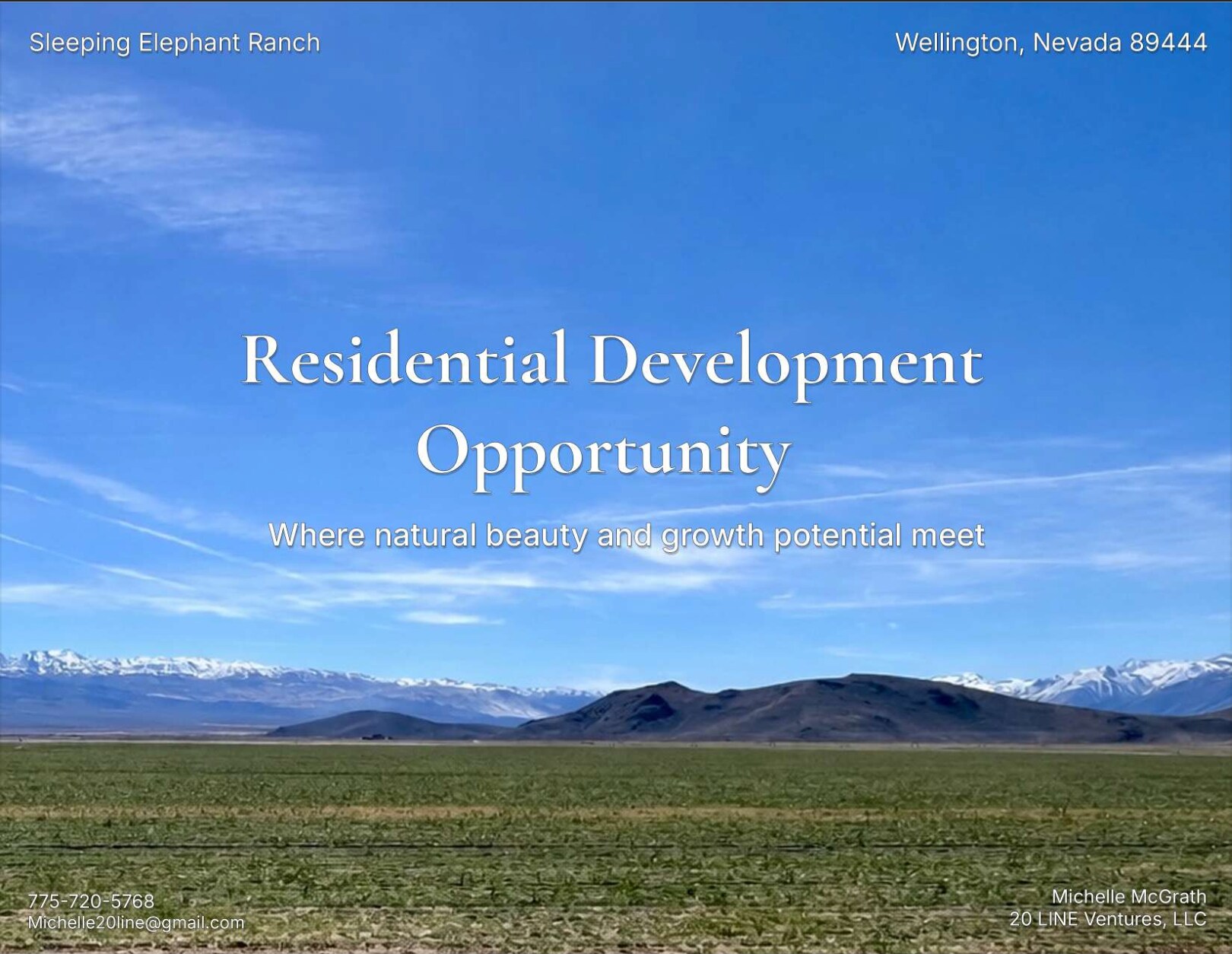 0 US Highway 208, Wellington, NV for Sale