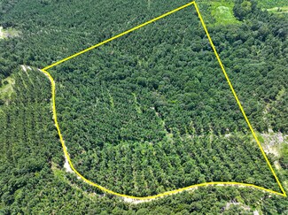 Zavalla, TX Commercial Land - 0 Slim Palmer Road