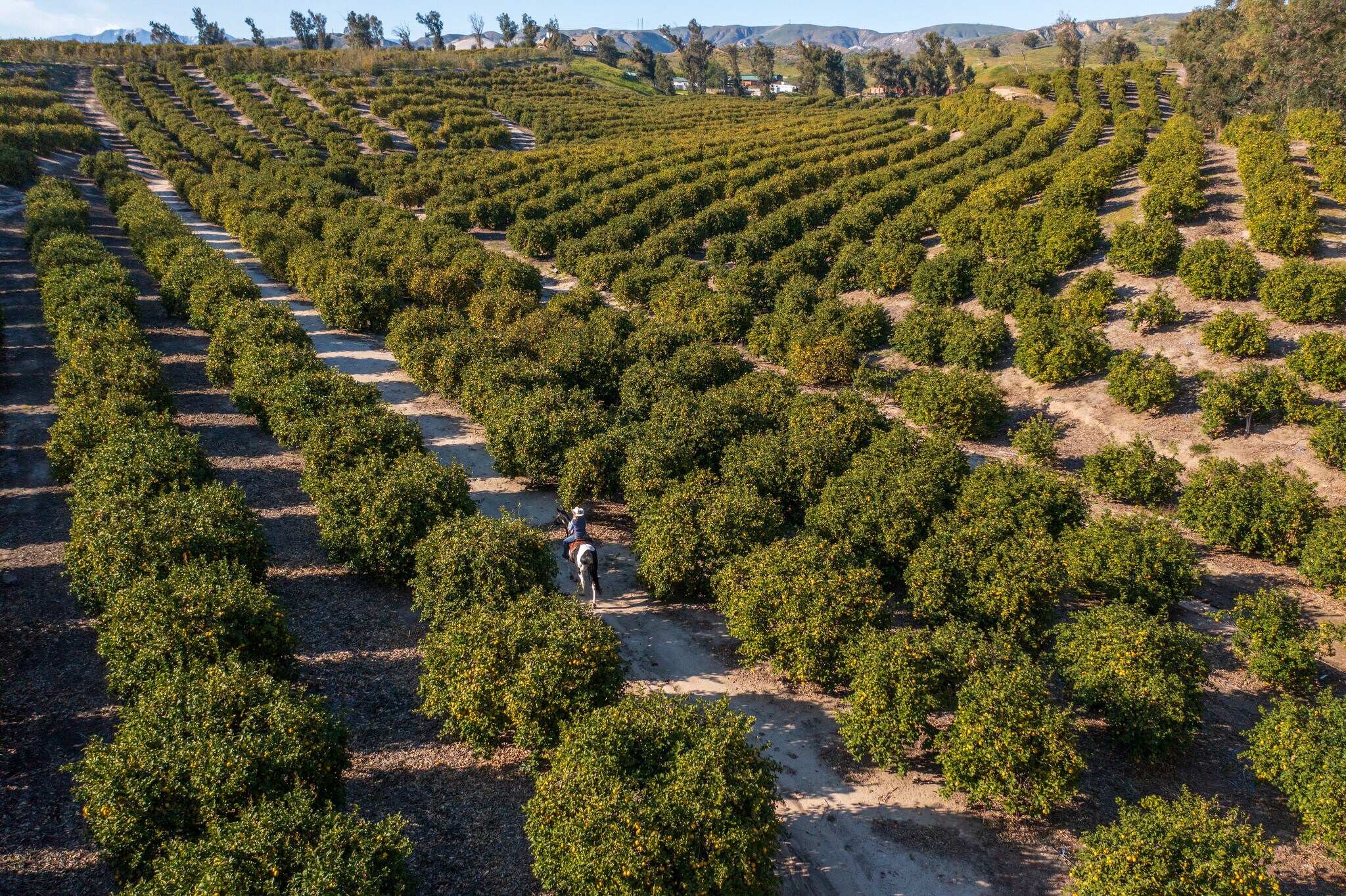 15000 Middle Ranch Rd, Moorpark, CA for Sale