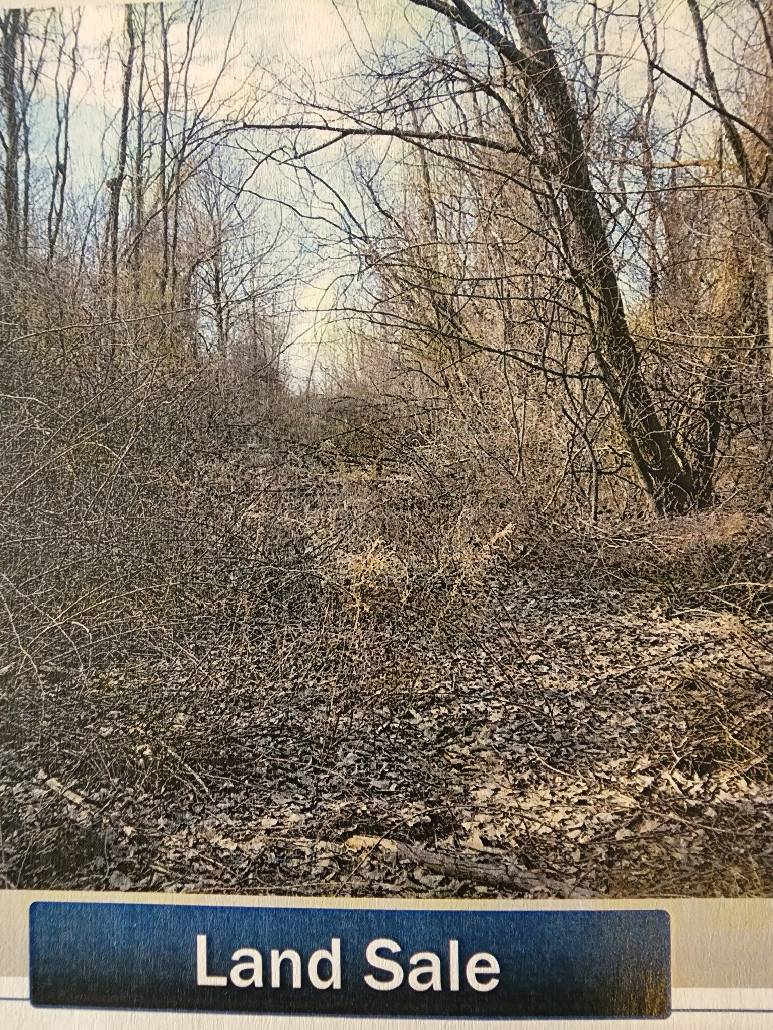 Eastwood Rd. Danbury, CT 06811 Land Property for Sale on