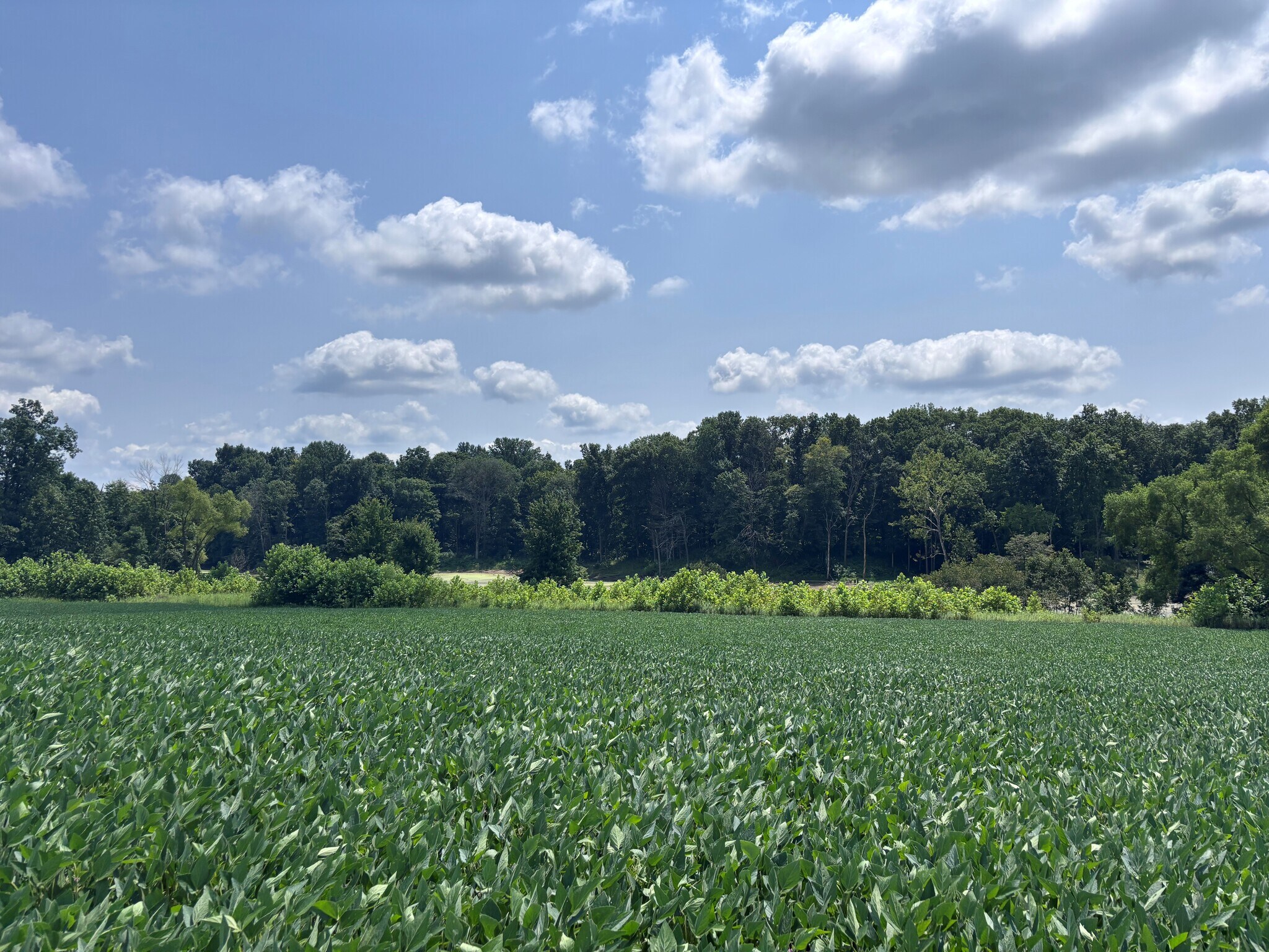 4436 County 1050 N rd, Farmersburg, IN for Sale
