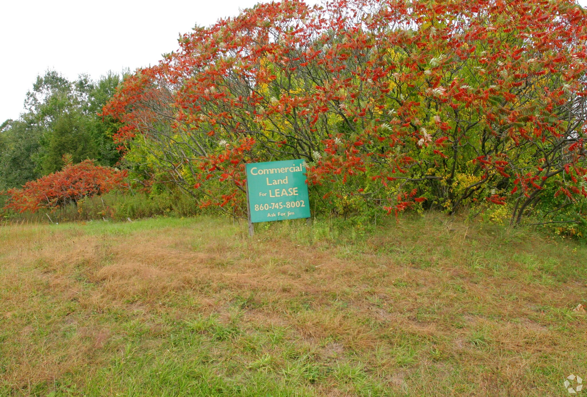 40 Rainbow Rd, East Granby, CT for Rent
