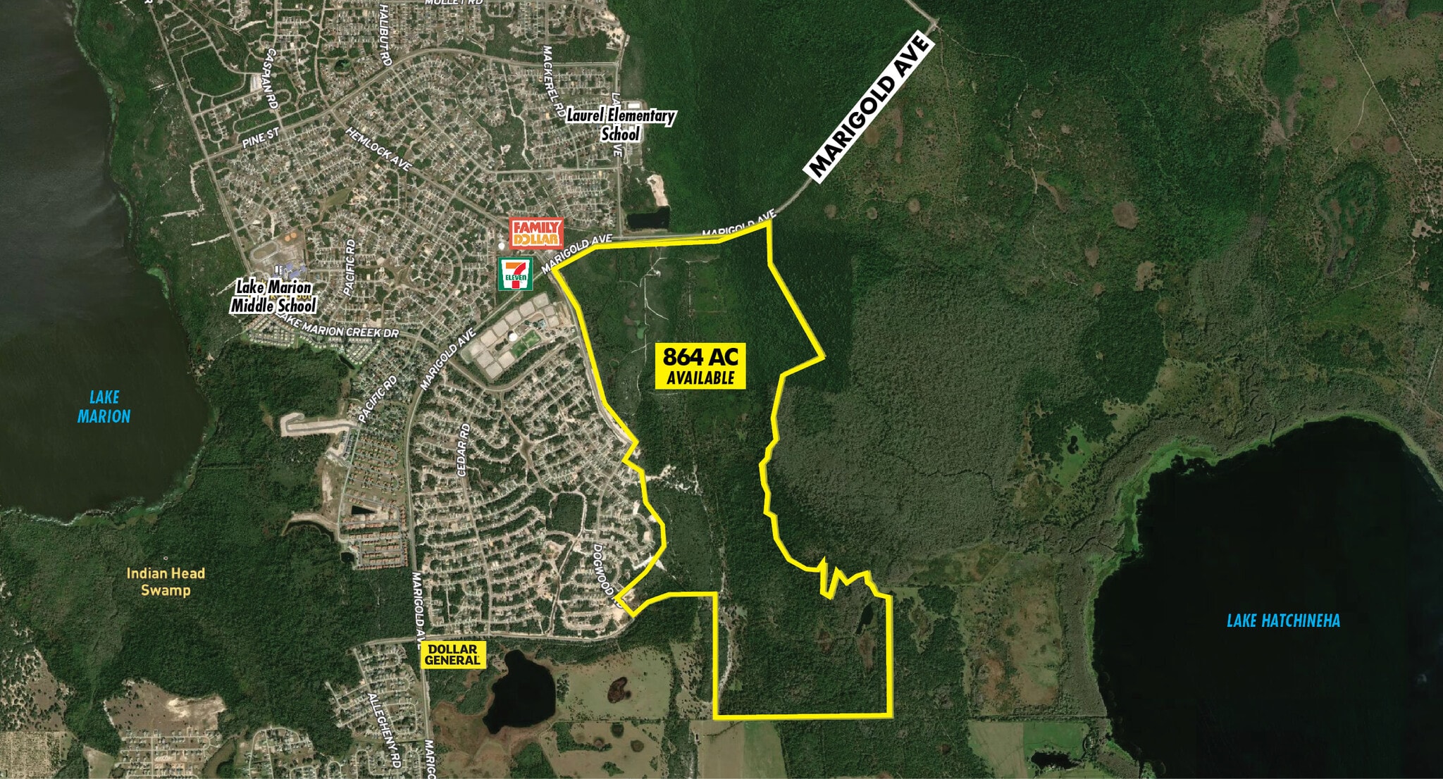 6000 Marigold Ave, Poinciana, FL for Sale