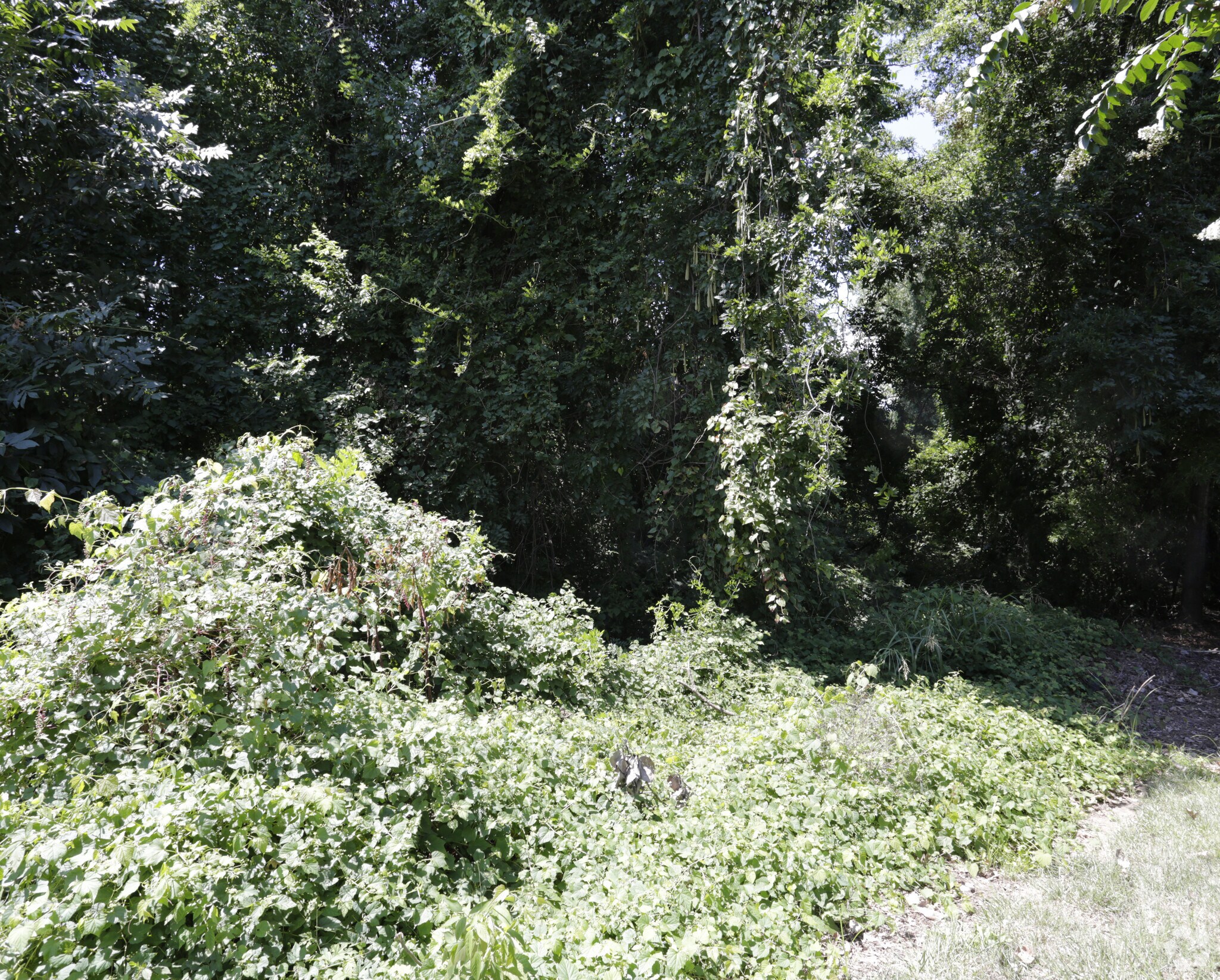 100 S Summit Ave Charlotte, NC 28208 Land Property for Sale on