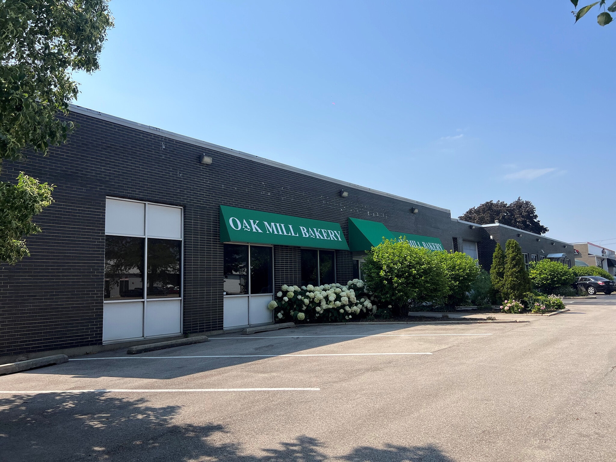 2480-2490 S Wolf Rd, Des Plaines, IL for Rent