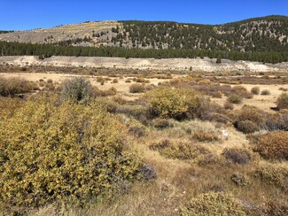 Leadville, CO Agricultural - River Rd