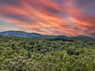 Ellijay, GA Residential - 245+/- Acres Gates Chapel Rd