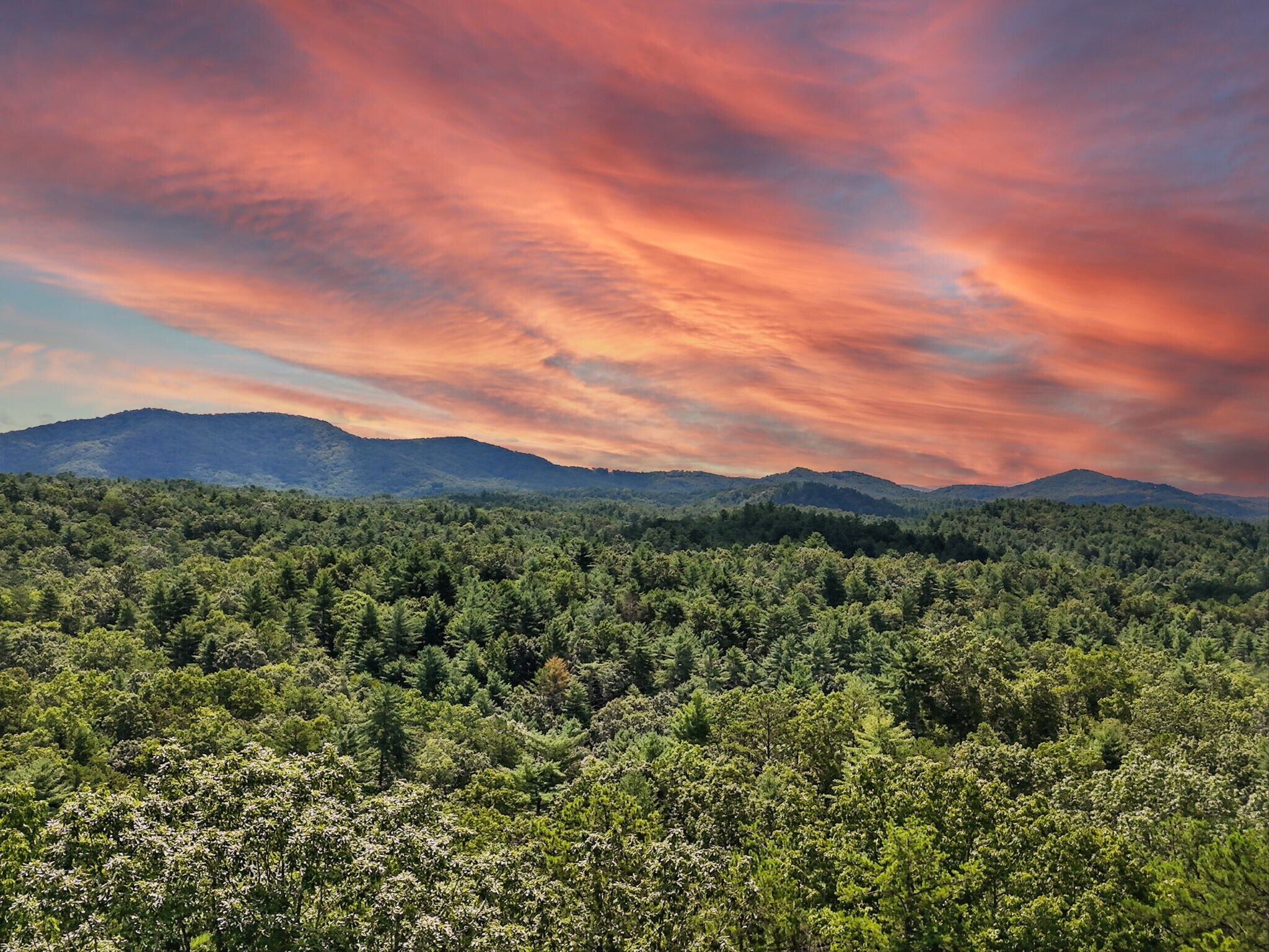 245+/- Acres Gates Chapel Rd, Ellijay, GA for Sale