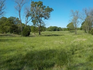 18891 Tigerswitch Rd  