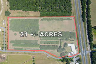 Summerfield, FL Commercial Land - 17950 S US Highway 301