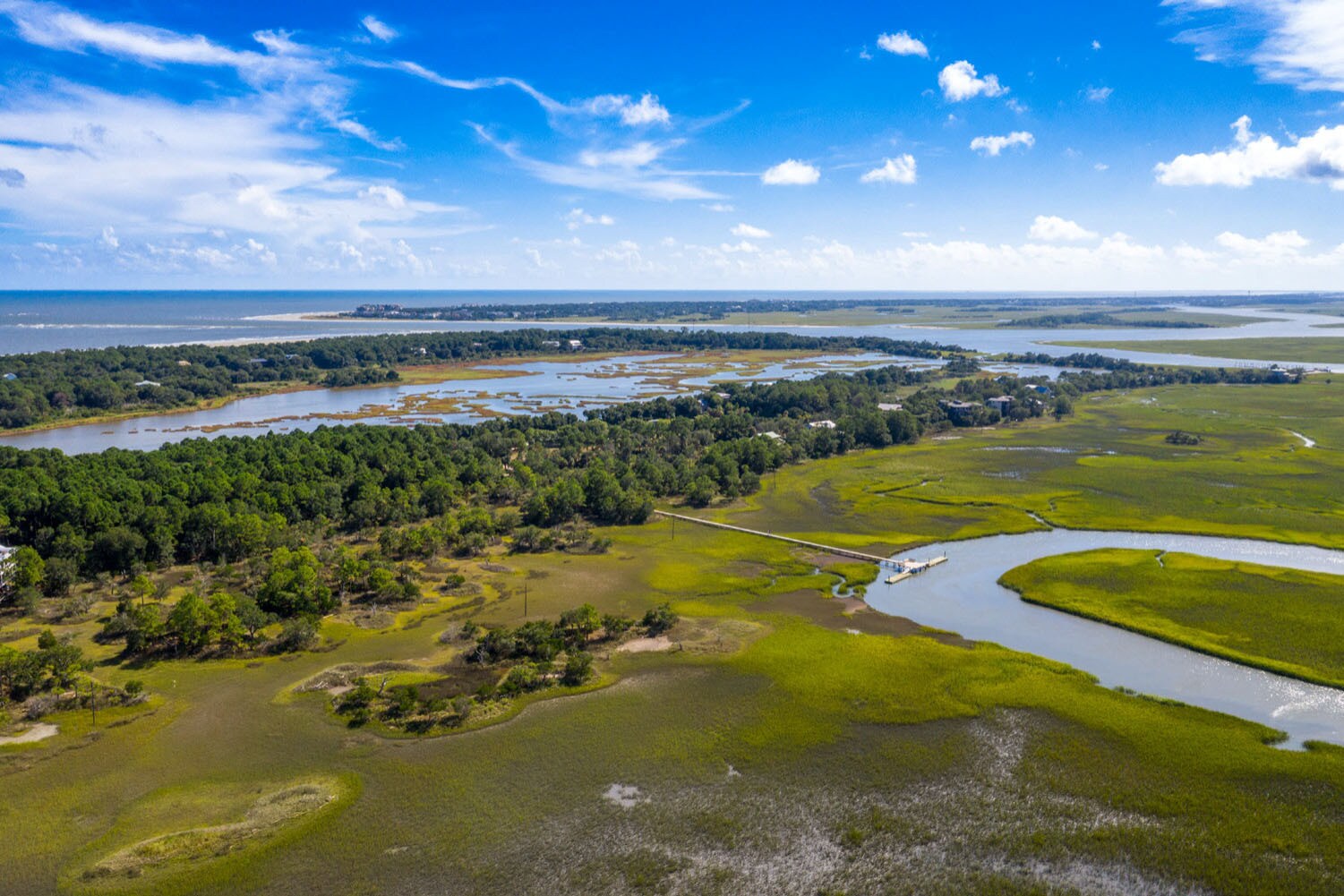266 Old House ln Dewees Island, SC 29451 Land Property for Sale on
