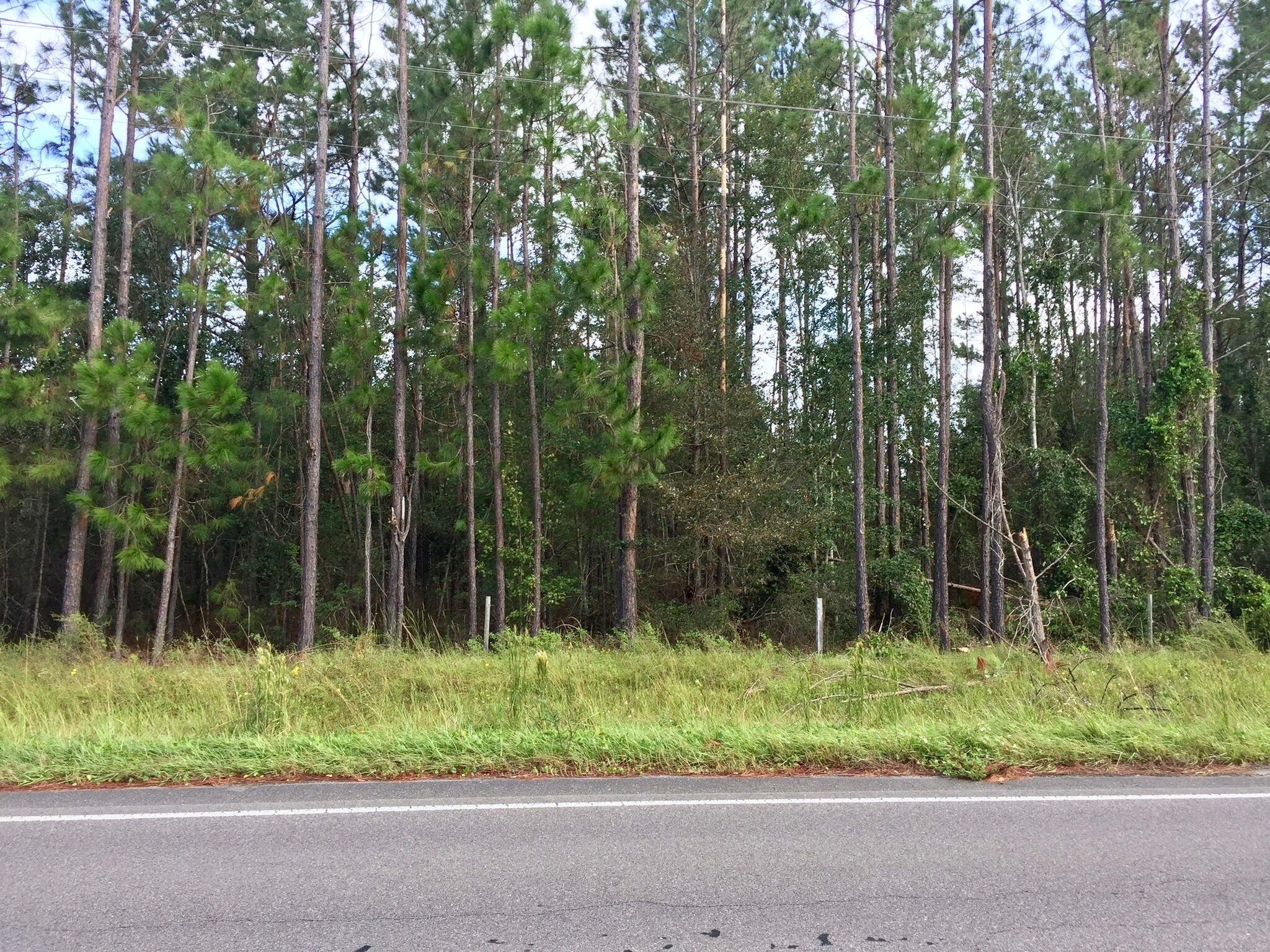 15499 County Road 121, Bryceville, FL for Sale