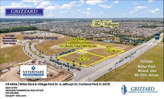 Fruitland Park, FL Commercial Land - CR 466A