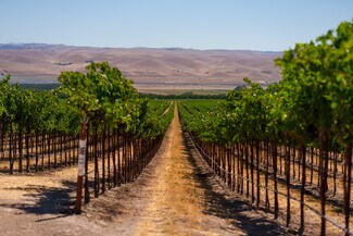 San Ardo, CA Agricultural - 63950 Bernardo Rd