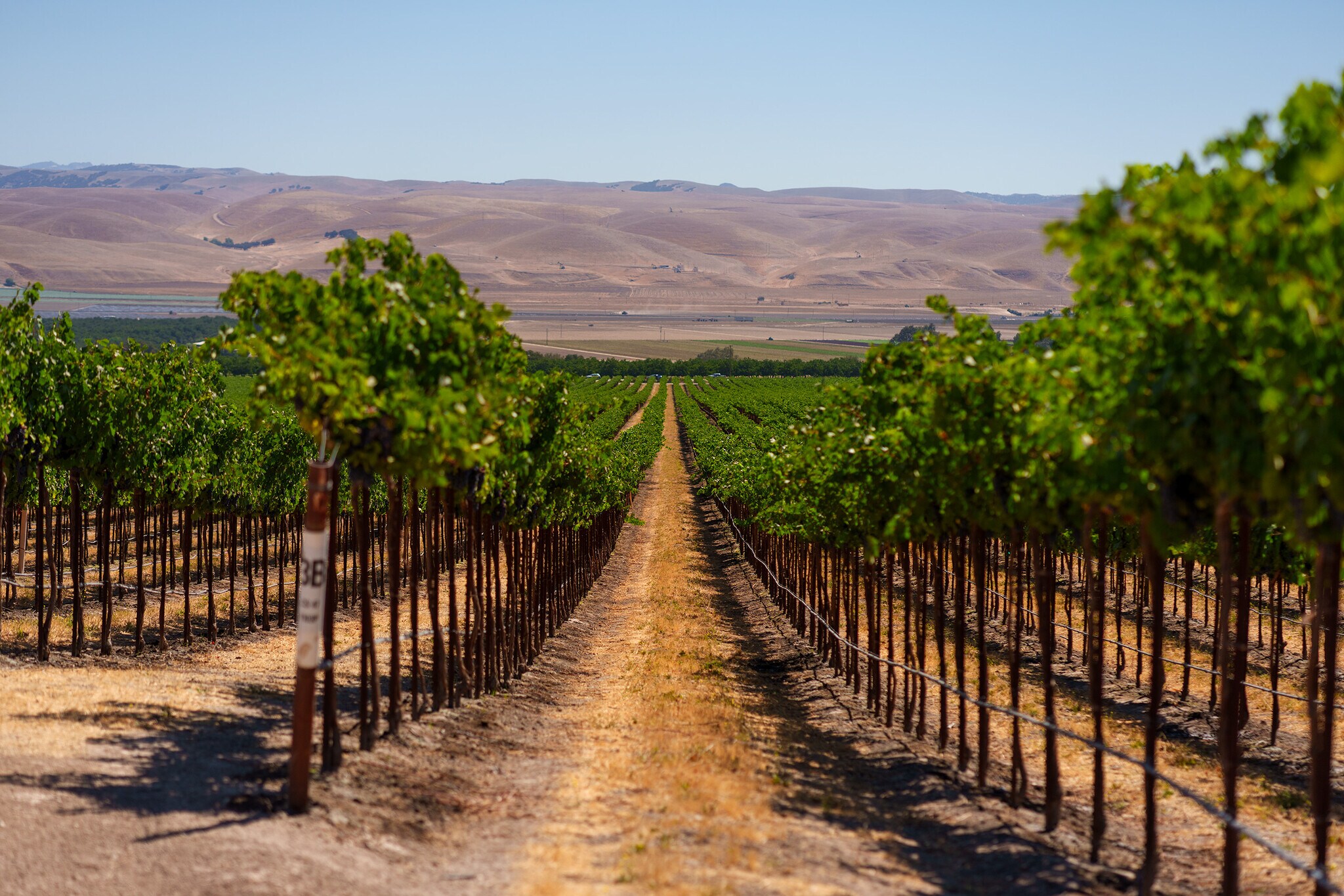 63950 Bernardo Rd, San Ardo, CA for Sale